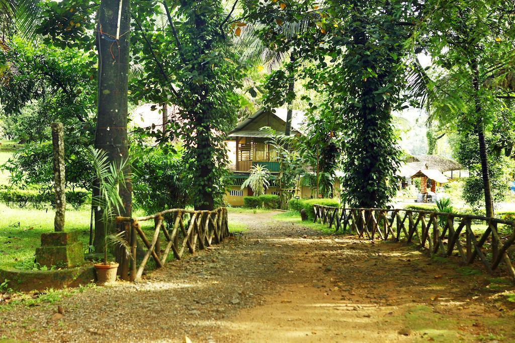 索玛鸟礁湖度假村 Kotamangalam 外观 照片